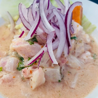 Corvina Fish